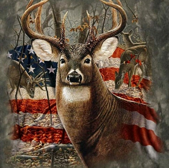 Meet your Posher, Justin - Picture 1 of 1